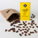 Plantation Mangaro 71 %