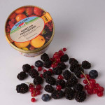 Sorbet Fruits Des Bois