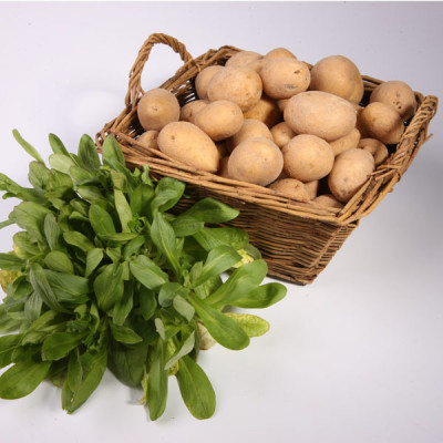 Pommes de terre « nouvelles »
